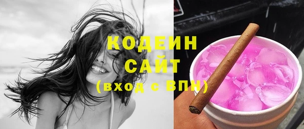 шишки Корсаков