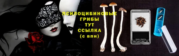 PSILOCYBIN Красноперекопск