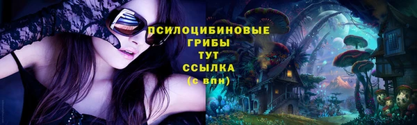 PSILOCYBIN Красноперекопск