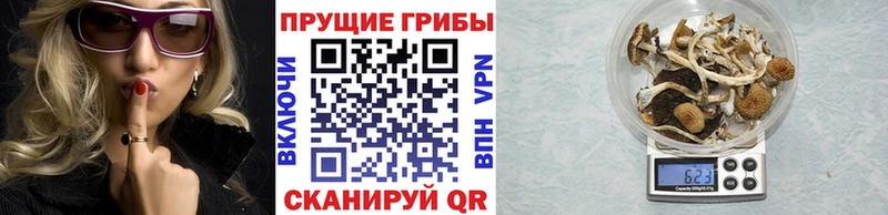 Купить  Мирный  Галлюциногенные грибы мицелий 